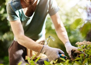 7 råd för att göra det mesta av din lilla trädgård