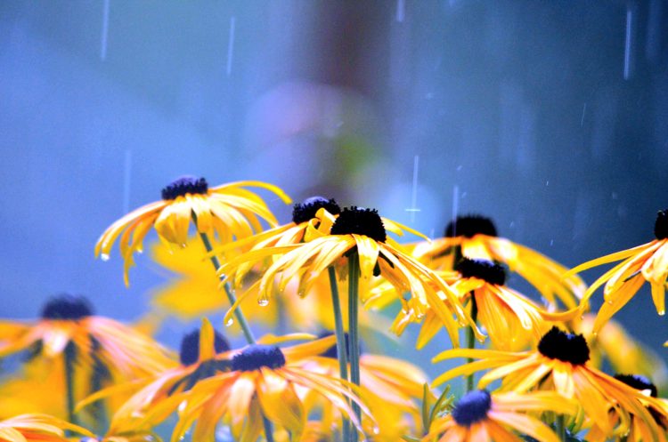 12 tips för en regnig sommardag