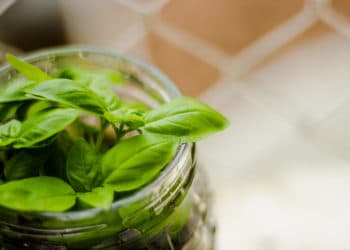 Skapa ditt eget kryddland