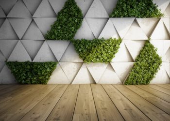 10 intressanta sätt att täcka dina väggar med plantor