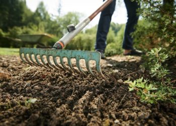 10 saker du bör göra nu för att förbereda din trädgård inför vintern